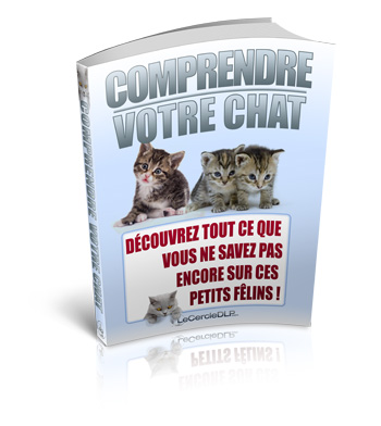 Comprendre le Chat, le Guide