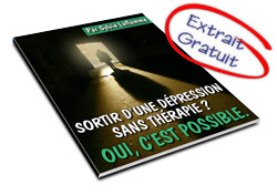 Extrait Gratuit du guide Sortir d'une dpression sans thrapie ? Oui, c'est possible !